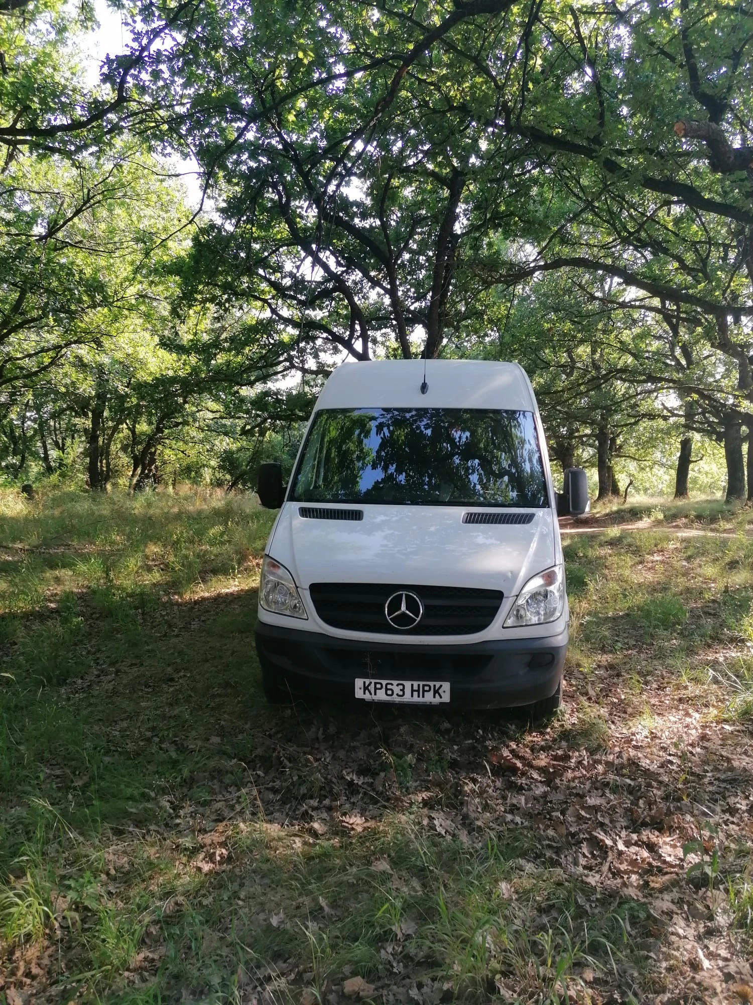 Mercedes-Benz Sprinter 313, снимка 5 - Бусове и автобуси - 55433102