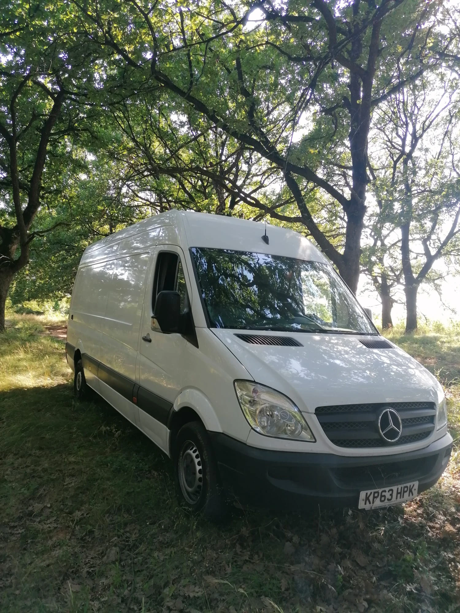 Mercedes-Benz Sprinter 313, снимка 3 - Бусове и автобуси - 55433102