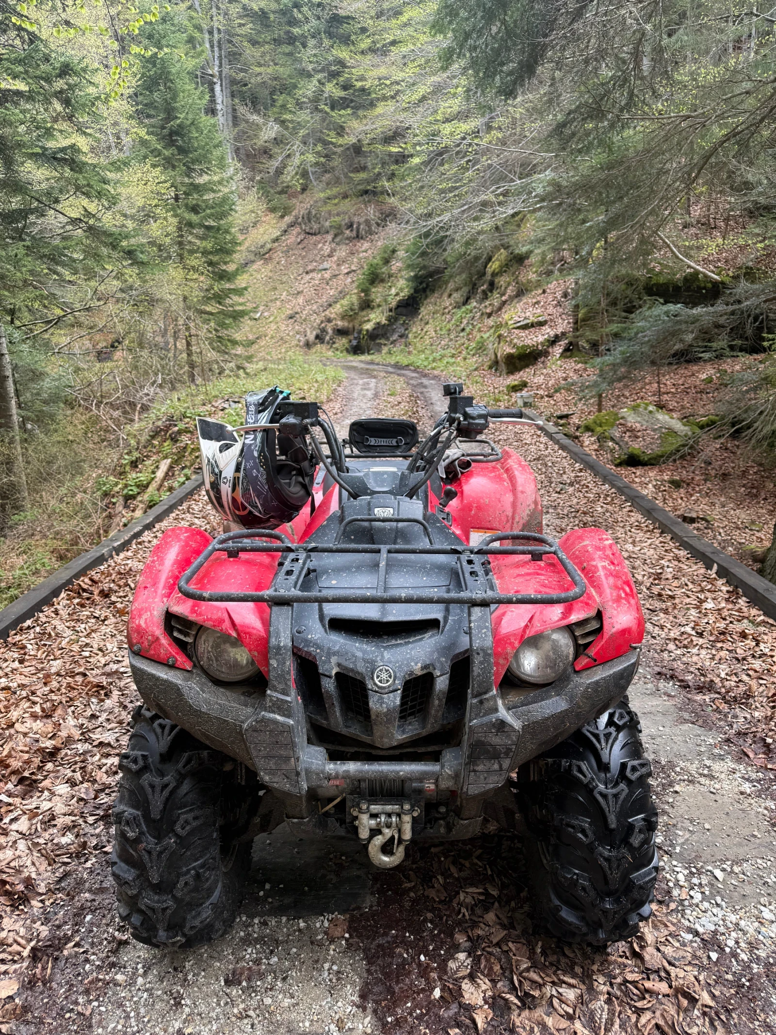 Yamaha Grizzly, снимка 8 - Мотоциклети и мототехника - 54675430