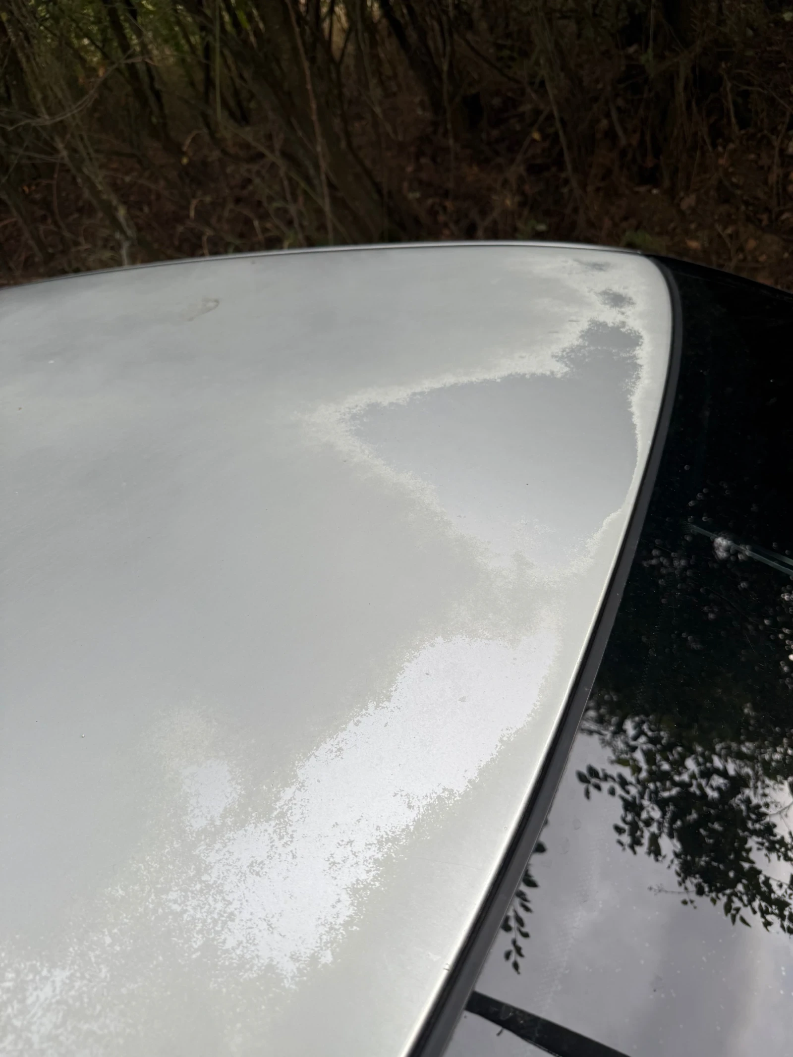 Skoda Octavia 1.9TDI 110hp - изображение 9