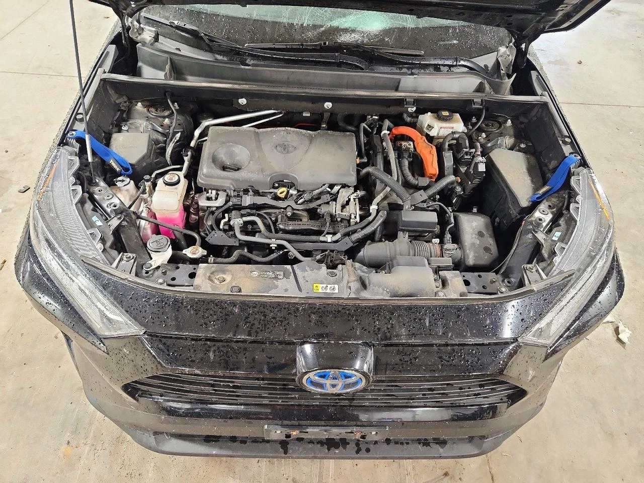 Toyota Rav4 2.5l Hybrid Xle Premium | Mobile.bg � ����������� 12