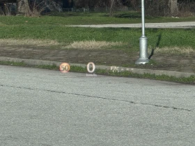 Mazda MX-30 35.5kWh PREMIUM | 360  | BOSE | Панорама | HUD, снимка 10