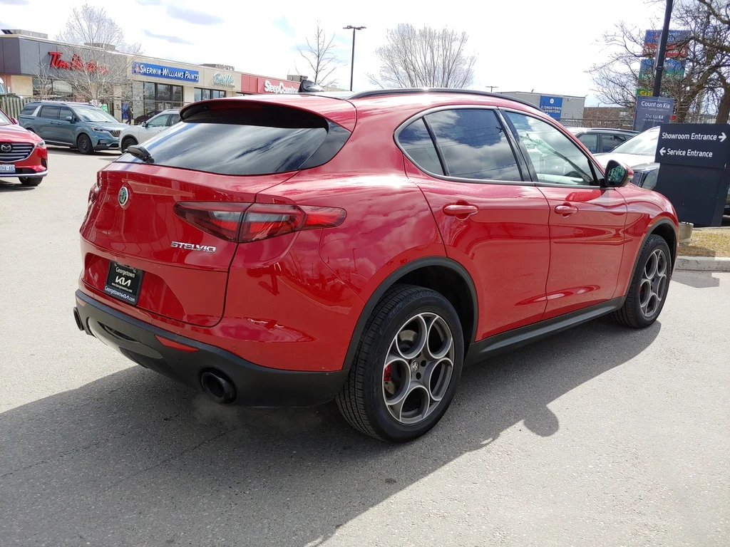 Alfa Romeo Stelvio 2.0 AWD  - изображение 7