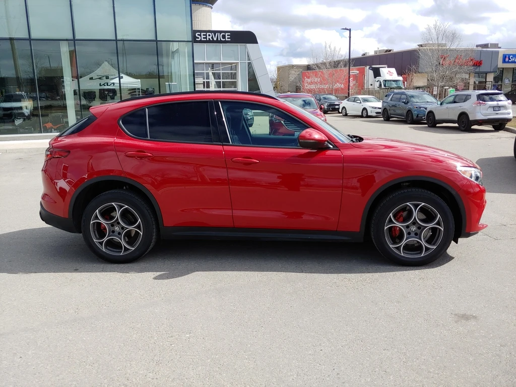 Alfa Romeo Stelvio 2.0 AWD  - изображение 5