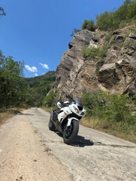 Kawasaki Zxr 636, снимка 3