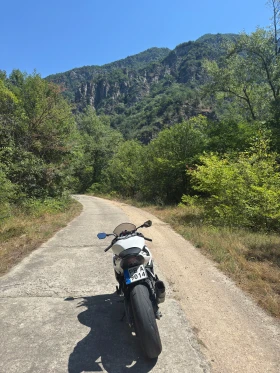 Kawasaki Zxr 636, снимка 4