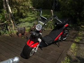  Harley-Davidson Cust...