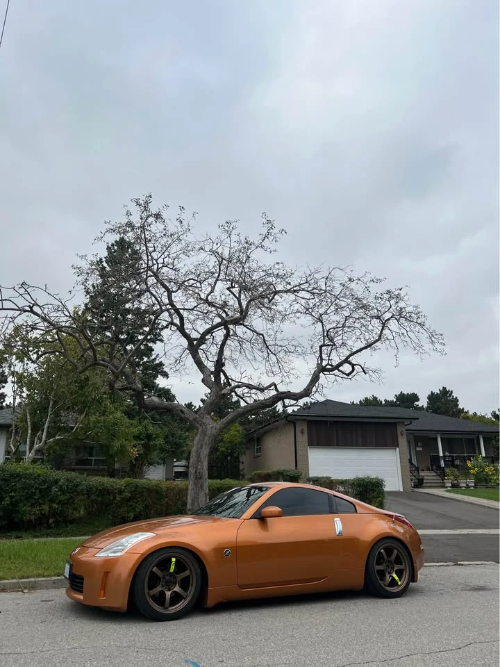 Nissan 350z * MANUAL* АВТОКРЕДИТ БЕЗ ПЪРВОНАЧАЛНА ВНОСКА* , снимка 4 - Автомобили и джипове - 54937571