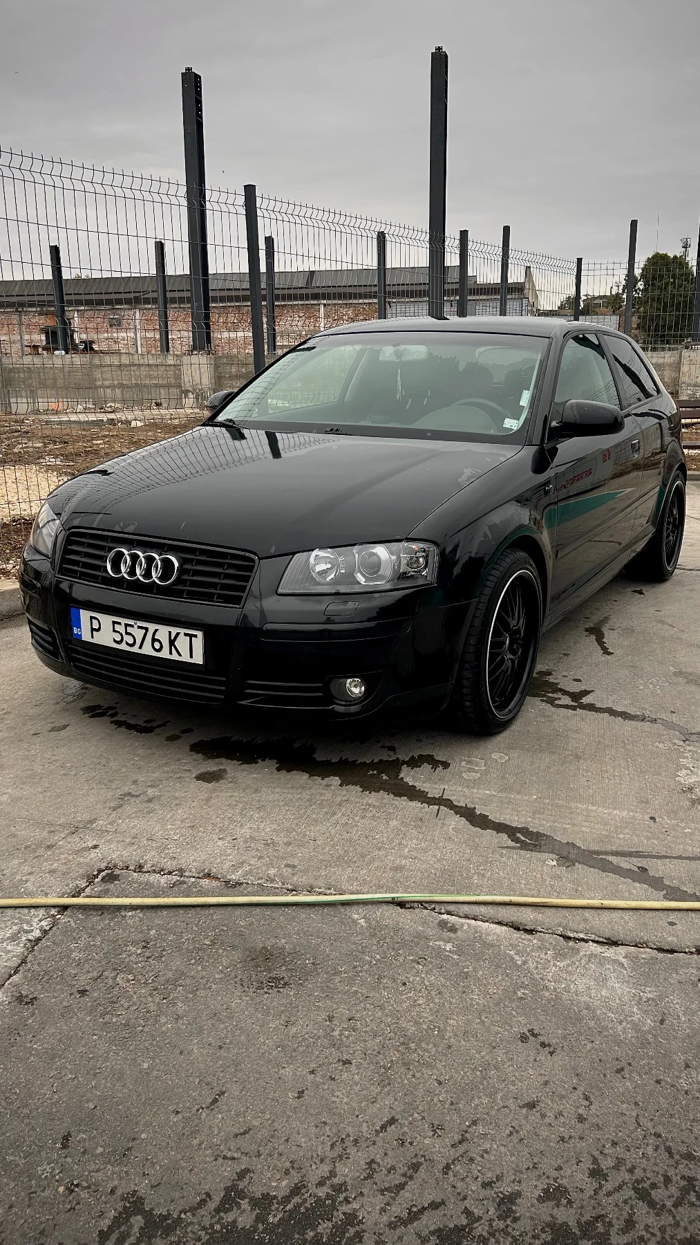 Audi A3 8p 2.0 tdi bkd - изображение 10