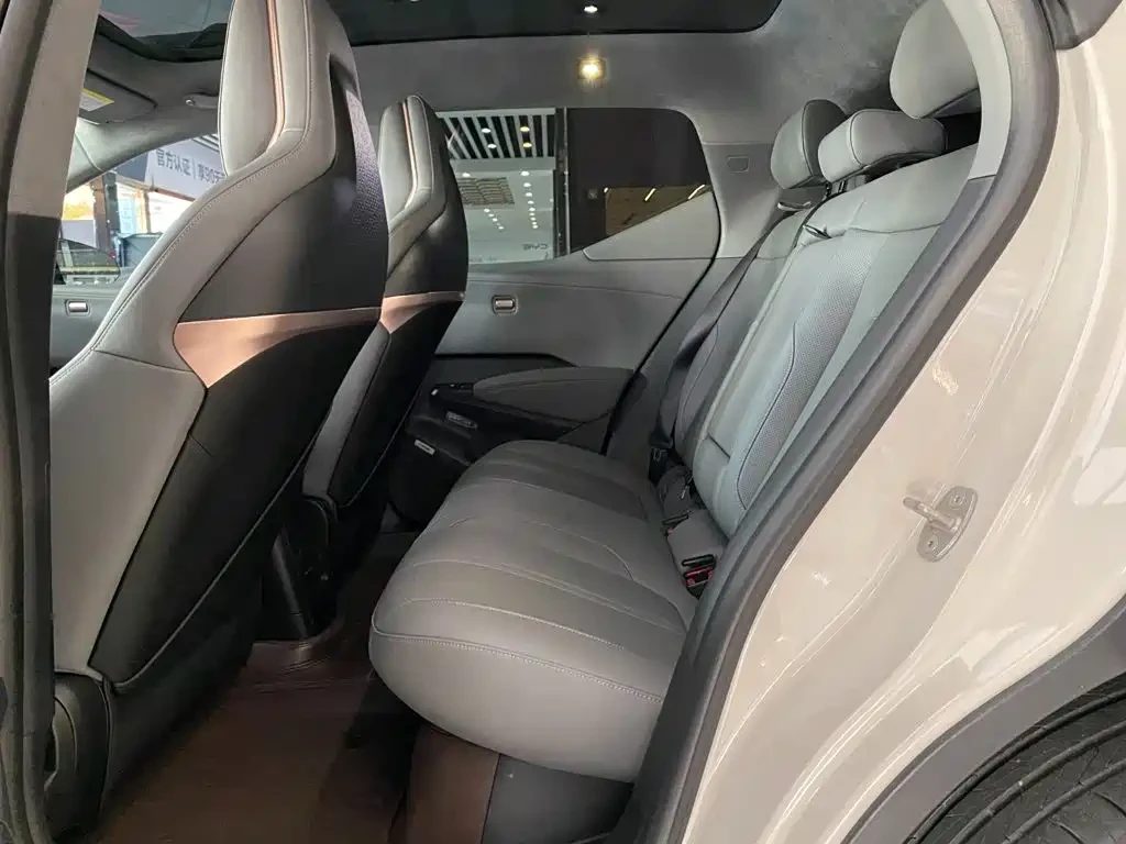 Zeekr X  2025 5-Seater RWD Edition | Mobile.bg � ����������� 15