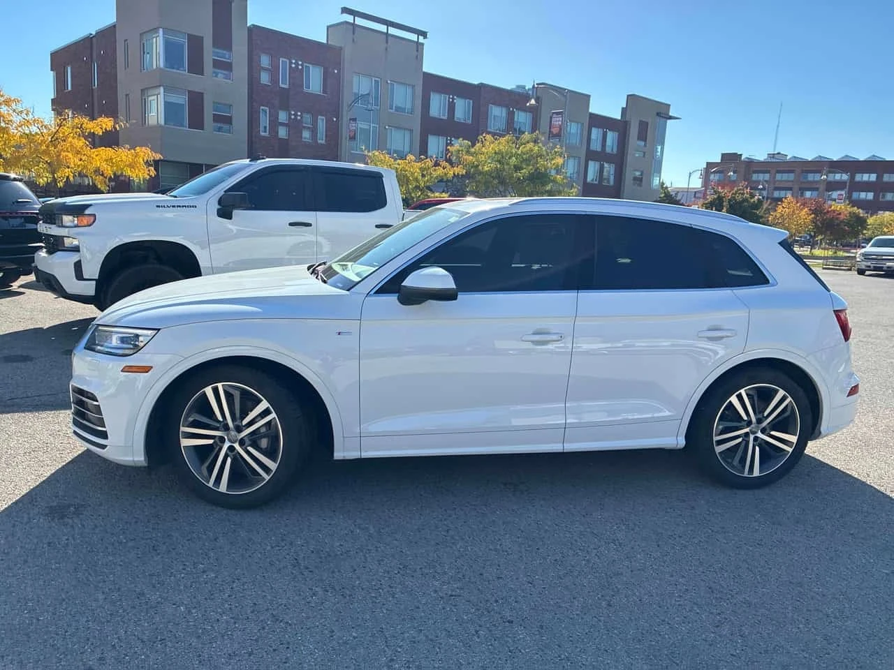 Audi Q5 * PROGRESSIV * ���������� ��� ������������ ������ | Mobile.bg � ����������� 3