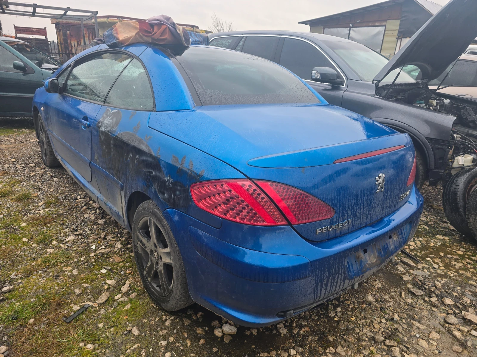 Peugeot 307 1.6 �� �����  | Mobile.bg � ����������� 2