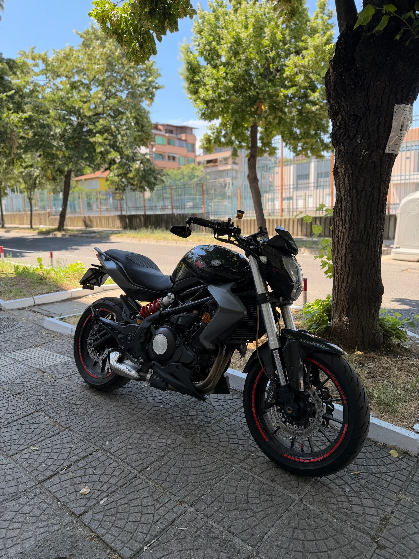 Benelli 304