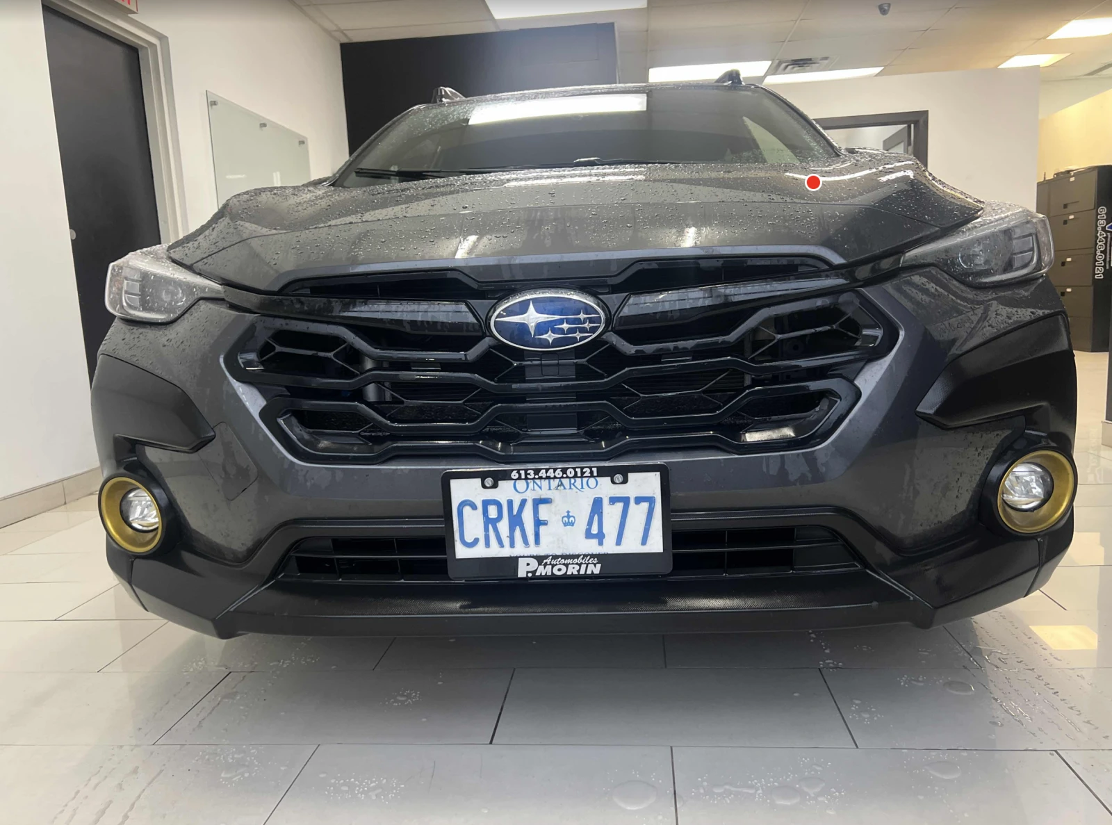 Subaru Crosstrek Onyx - изображение 6