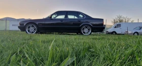 BMW 525 | Mobile.bg    3