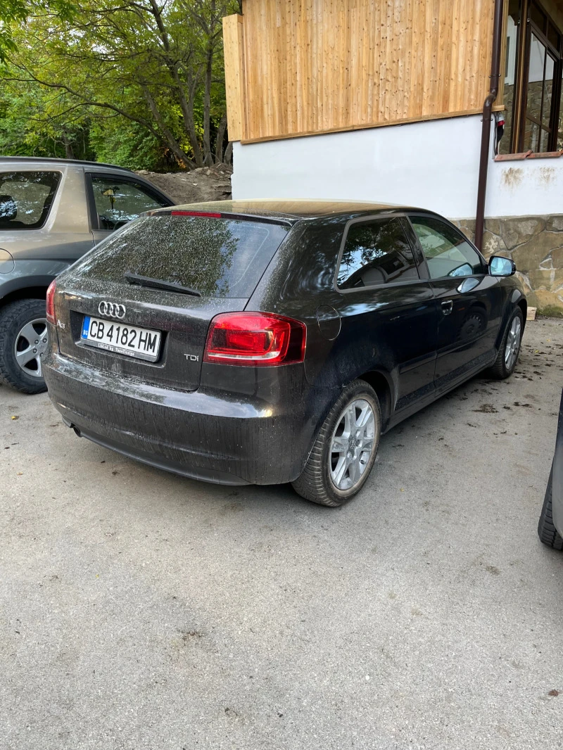 Audi A3 1.6 TDI , снимка 4 - Автомобили и джипове - 47771801