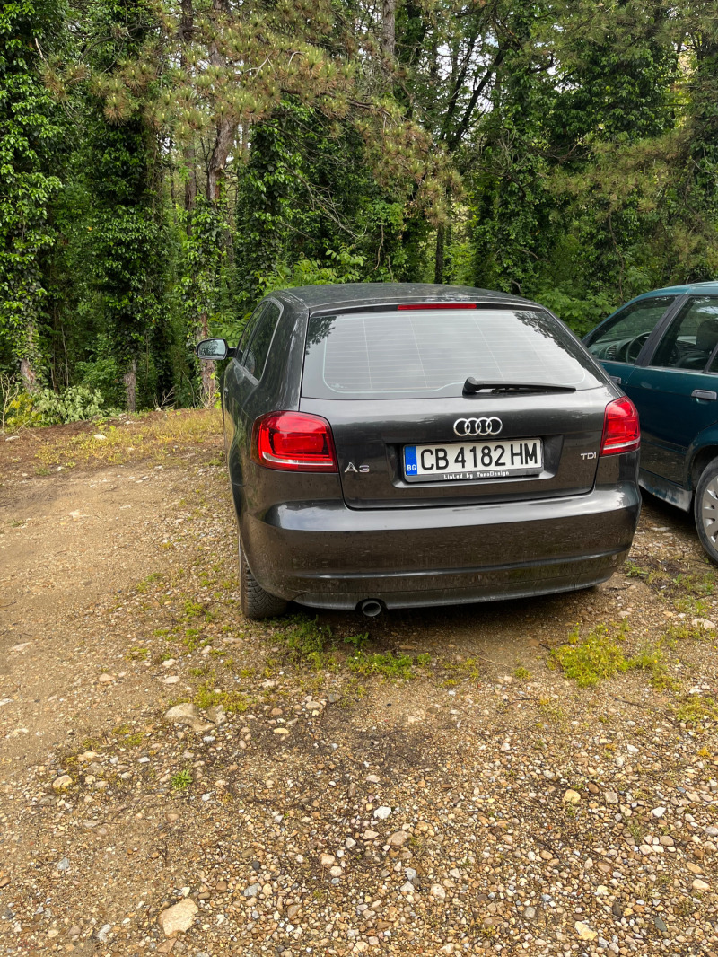 Audi A3 1.6 TDI , снимка 17 - Автомобили и джипове - 45873883