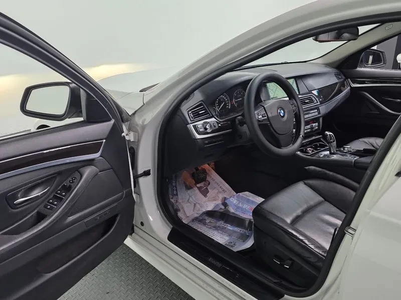 BMW 520 d, снимка 11 - Автомобили и джипове - 53033229