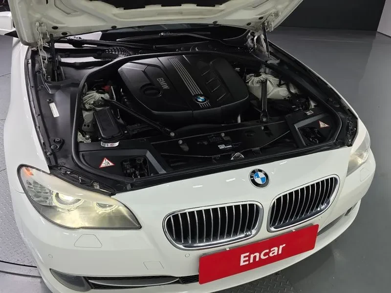 BMW 520 d, снимка 6 - Автомобили и джипове - 53033229