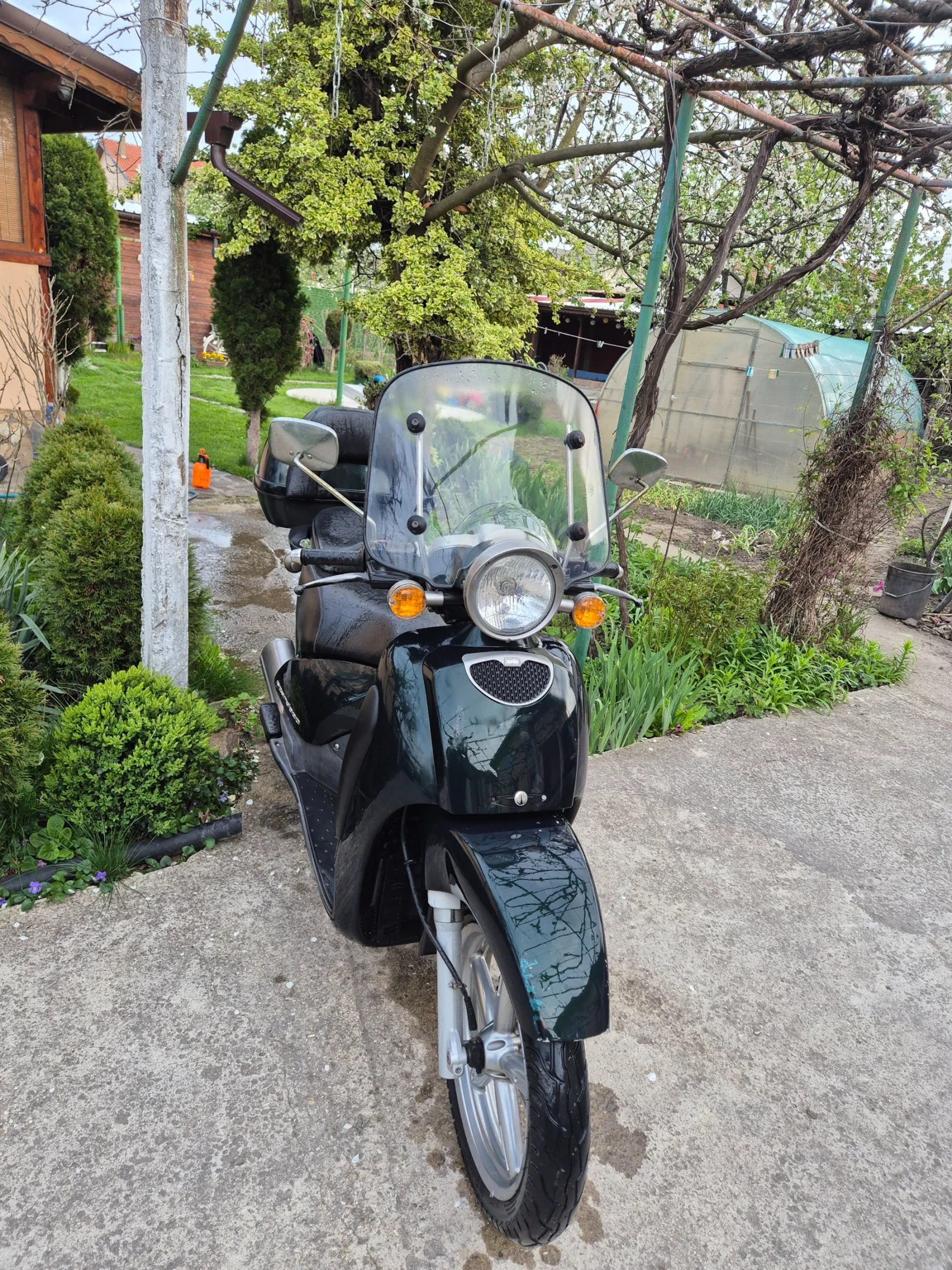Aprilia Scarabeo Скутер  - изображение 2