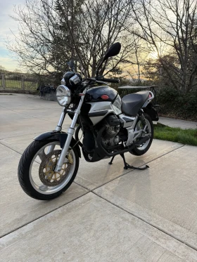 Moto Guzzi Breva 2007 750, снимка 4