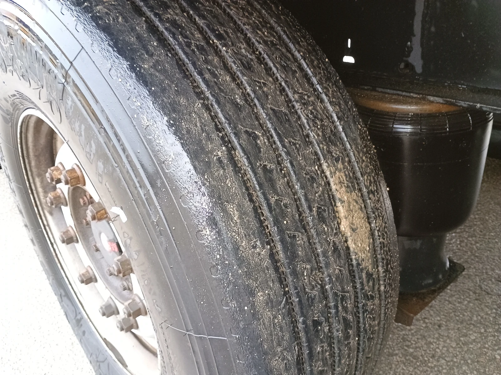  Koegel | Mobile.bg   14