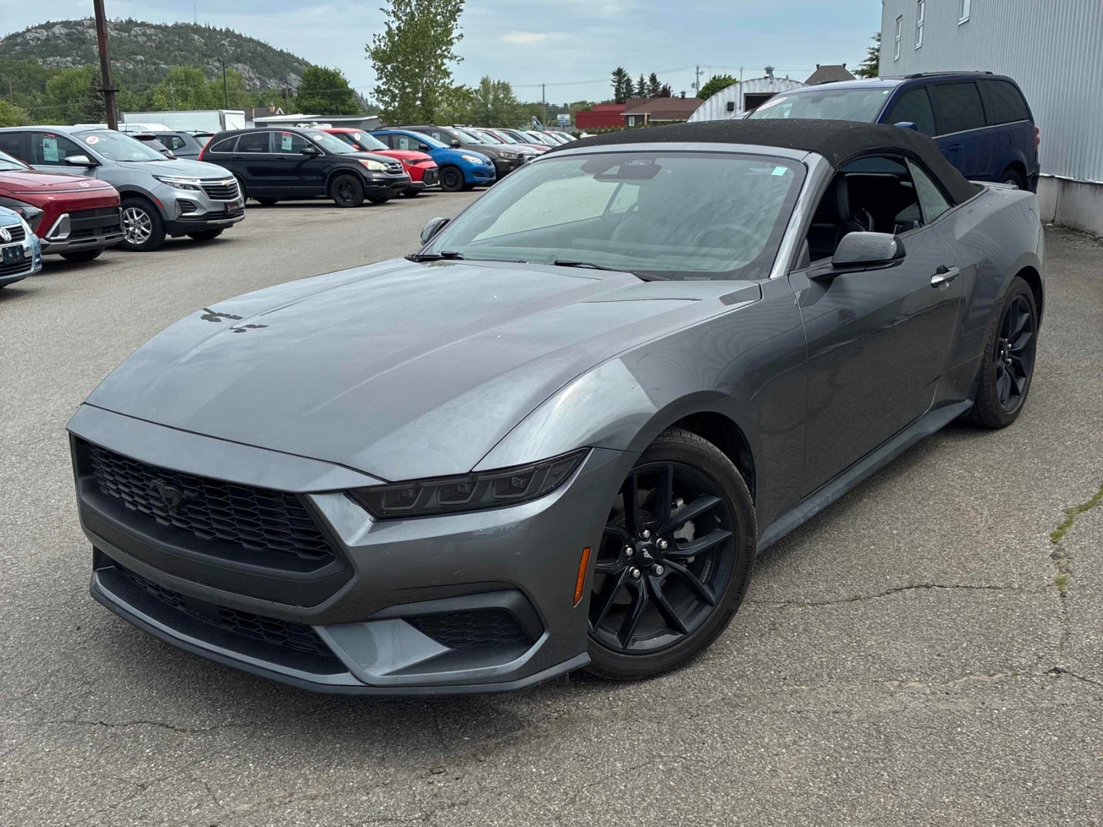 Ford Mustang ECOBOOST