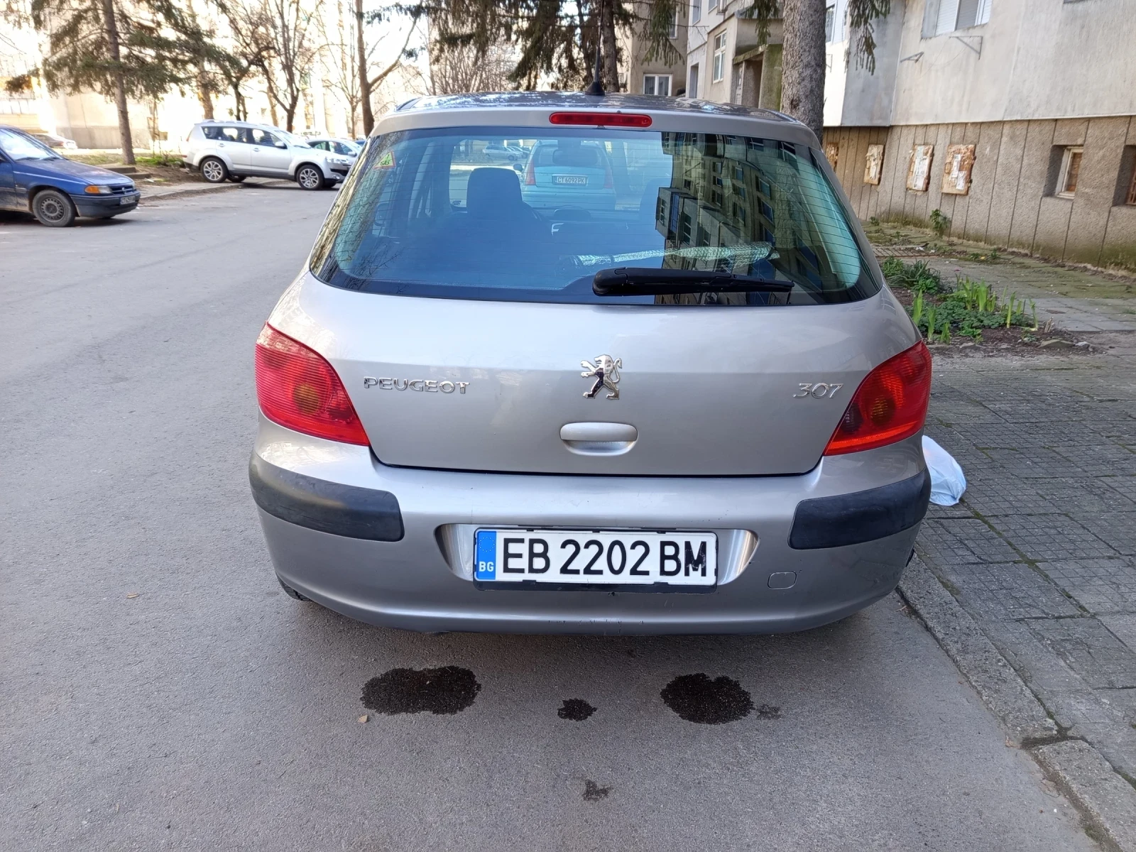 Peugeot 307, снимка 6 - Автомобили и джипове - 54041131