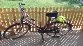 ������� | Mobile.bg � ����� ������ 4