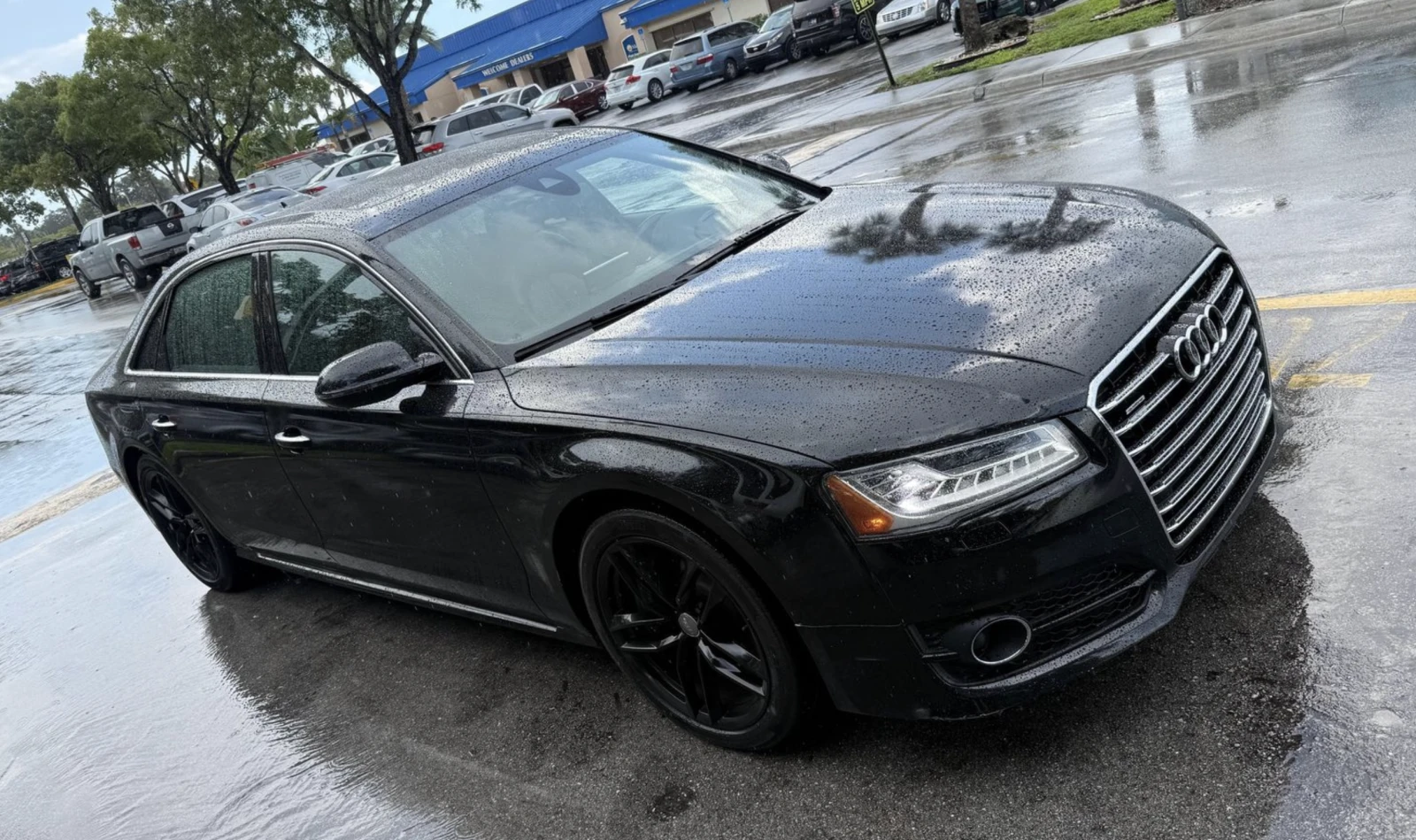 Audi A8 Matrix, Long, FULL* *  - изображение 10