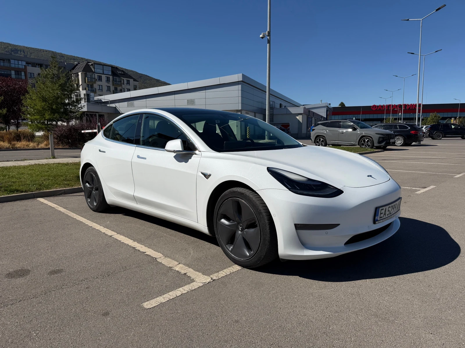 Tesla Model 3 Long Range/Dual Motor