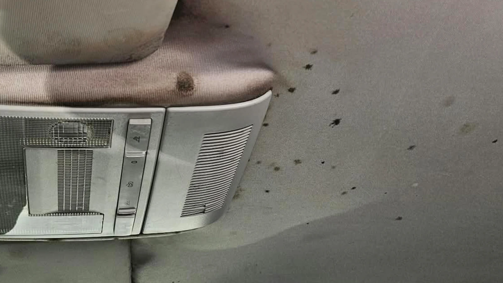 VW Polo, снимка 12 - Автомобили и джипове - 56505875