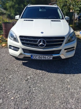 Mercedes-Benz ML 250, снимка 2