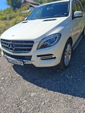 Mercedes-Benz ML 250 