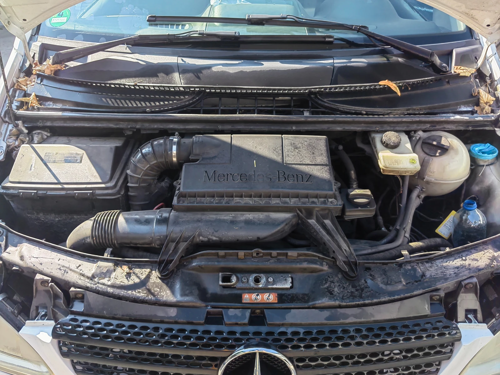 Mercedes-Benz Vito 4X4 | Mobile.bg � ����������� 1