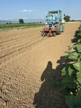 Друг вид Внос Разсадо посадъчна машина, снимка 3