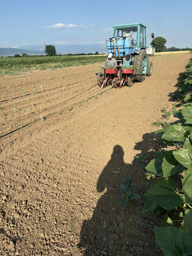 Друг вид Внос Разсадо посадъчна машина, снимка 3 - Селскостопанска техника - 52665163