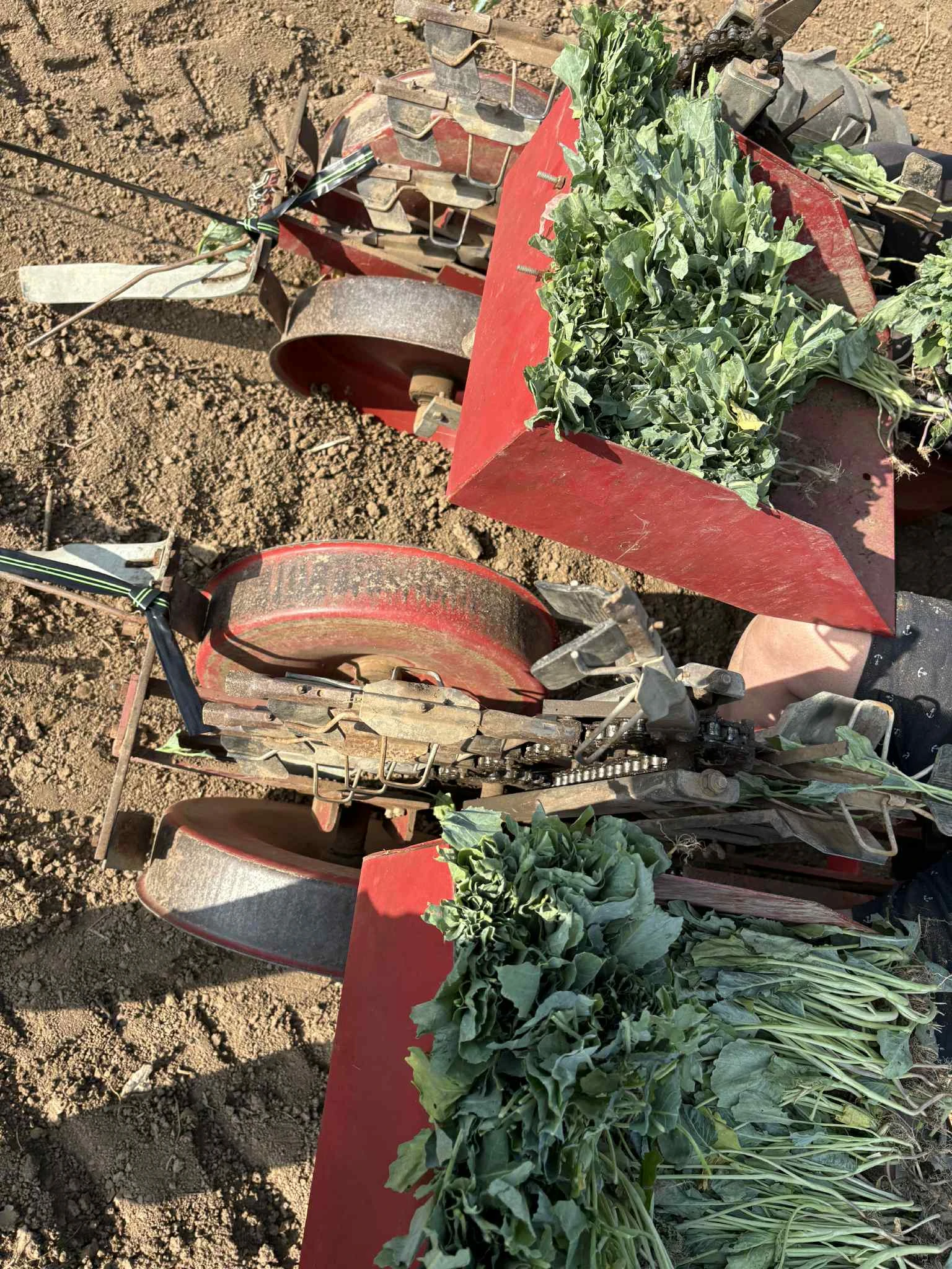 Друг вид Внос Разсадо посадъчна машина - изображение 2