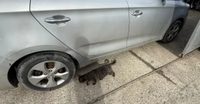 Kia Carens 1.7 d , снимка 4