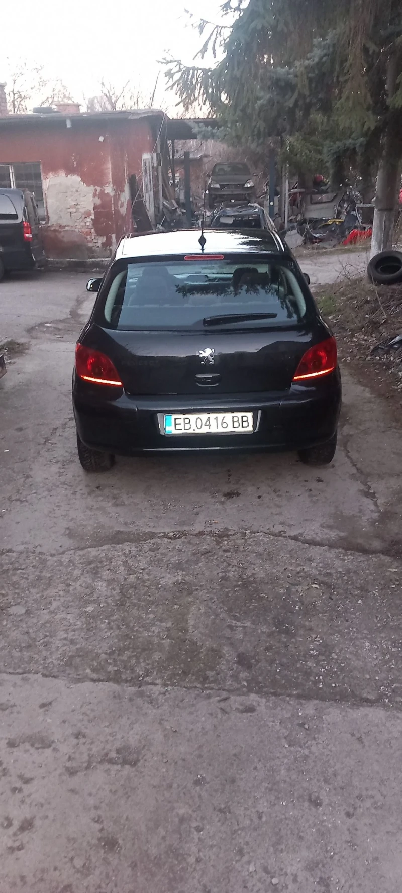 Peugeot 307, снимка 14 - Автомобили и джипове - 49383492