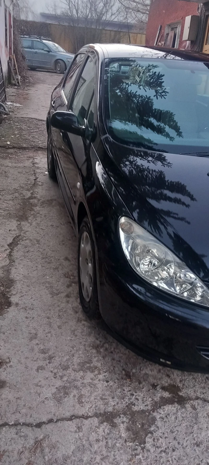 Peugeot 307, снимка 8 - Автомобили и джипове - 49383492