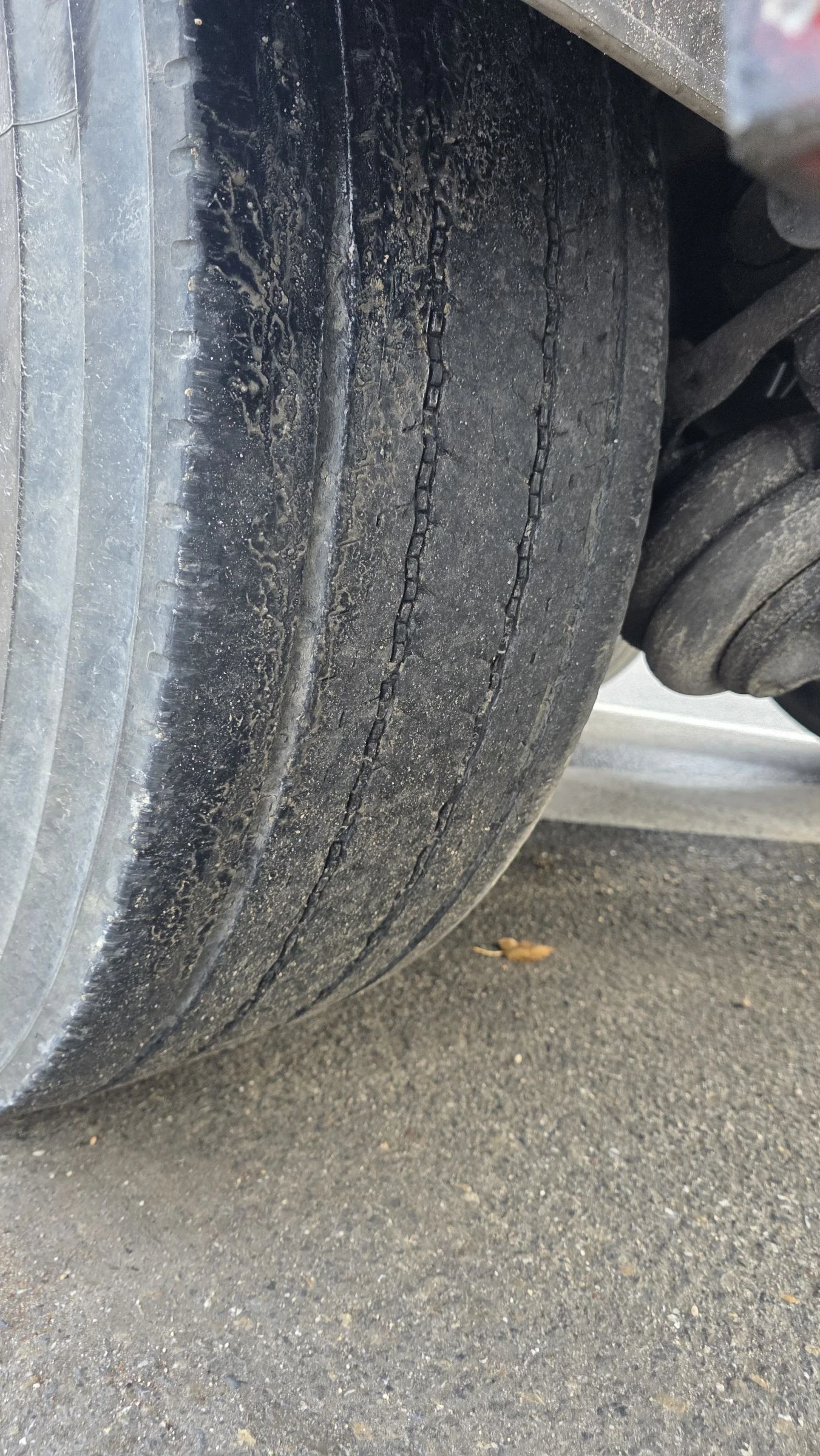   REISCH 92   | Mobile.bg   7