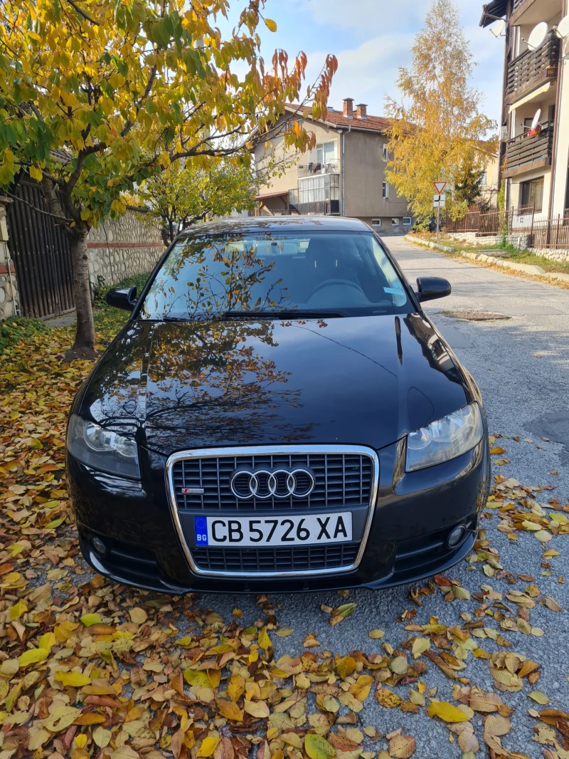 Audi A3 2.0  tdi 140  BMM 8v, снимка 2 - Автомобили и джипове - 47831564