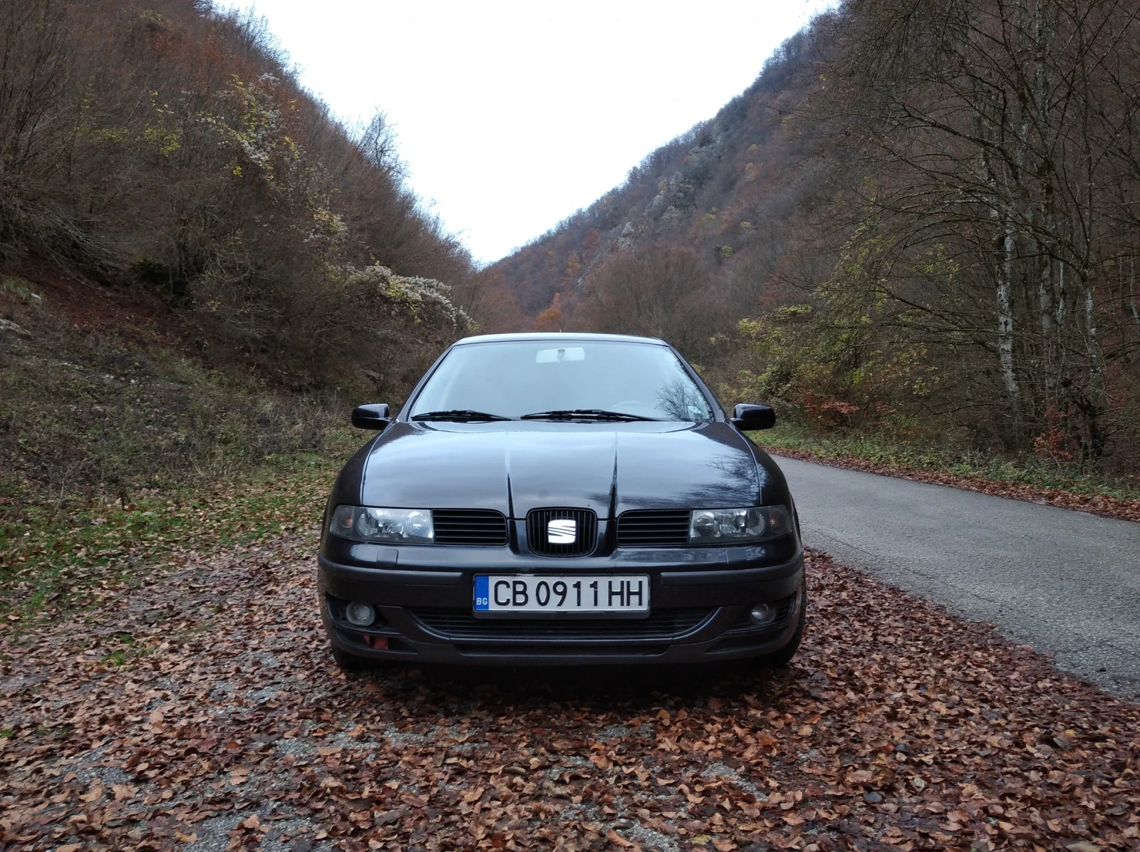 Seat Leon 1.8 T 4х4 - изображение 2