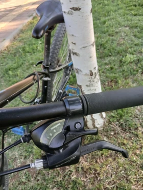 ������ ������