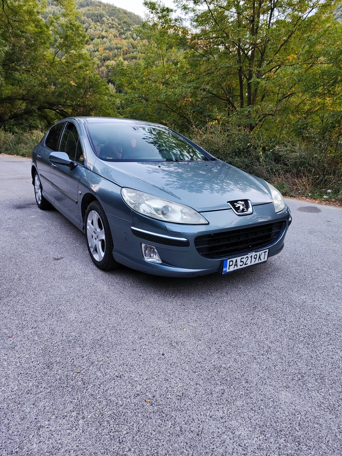 Peugeot 407, снимка 1