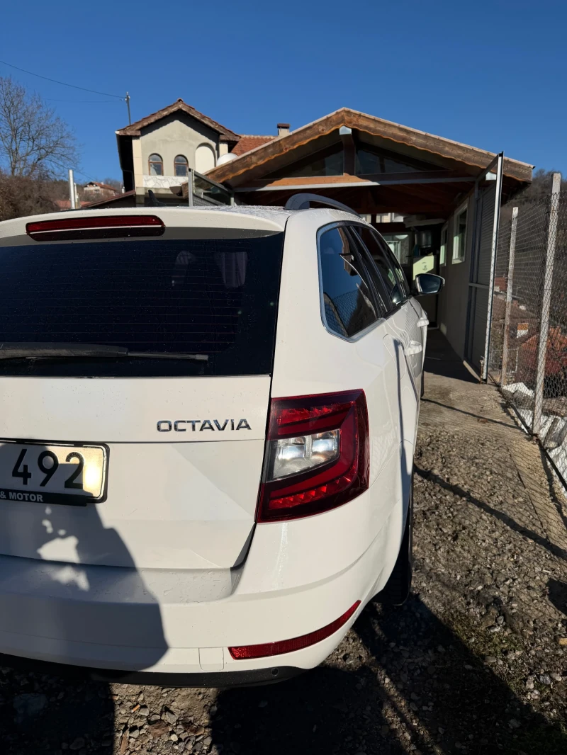 Skoda Octavia 1.6 tdi facelift :), снимка 16 - Автомобили и джипове - 52811112