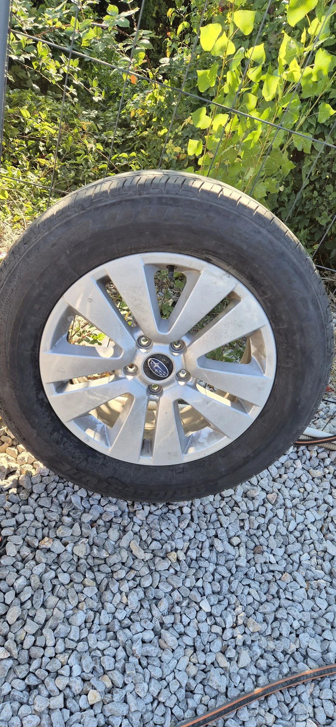    225/65R17  Subaru | Mobile.bg   1