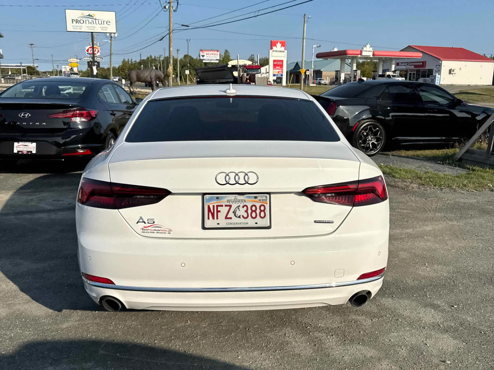 Audi A5 Progressiv * * CARFAX * * АВТО КРЕДИТ * *  - изображение 4