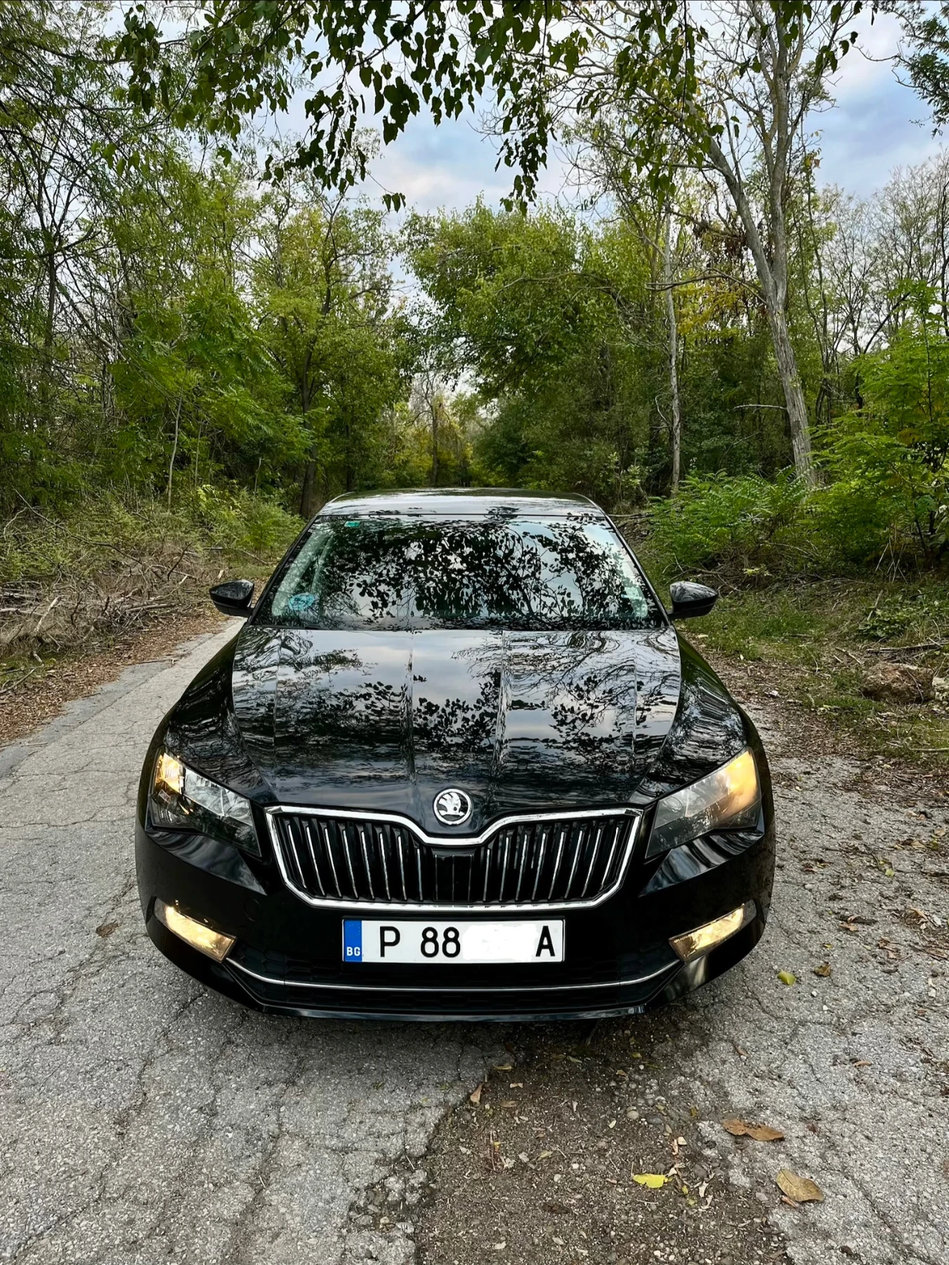 Skoda Superb 2.0 TDI | Mobile.bg   1